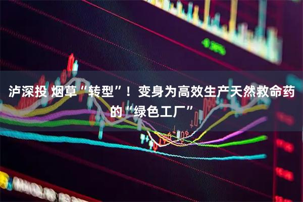 泸深投 烟草“转型”！变身为高效生产天然救命药的“绿色工厂”
