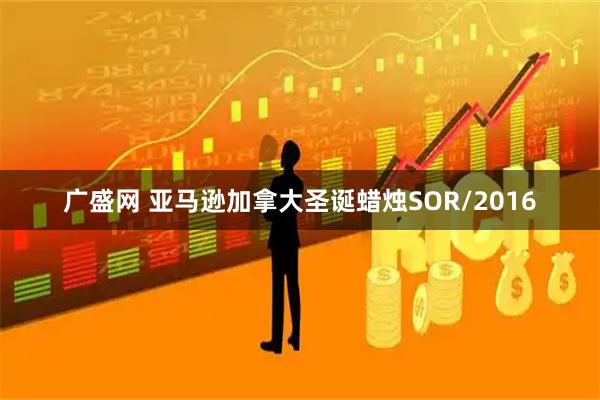 广盛网 亚马逊加拿大圣诞蜡烛SOR/2016