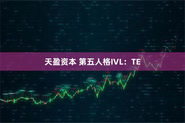 天盈资本 第五人格IVL：TE