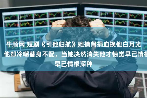 牛顺网 短剧《引他归航》她摘肾捐血换他白月光康复，他却冷嘲替身不配，当她决然消失他才惊觉早已情根深种