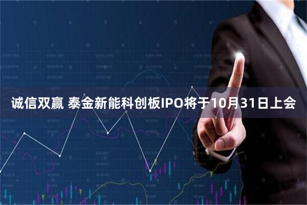 诚信双赢 泰金新能科创板IPO将于10月31日上会