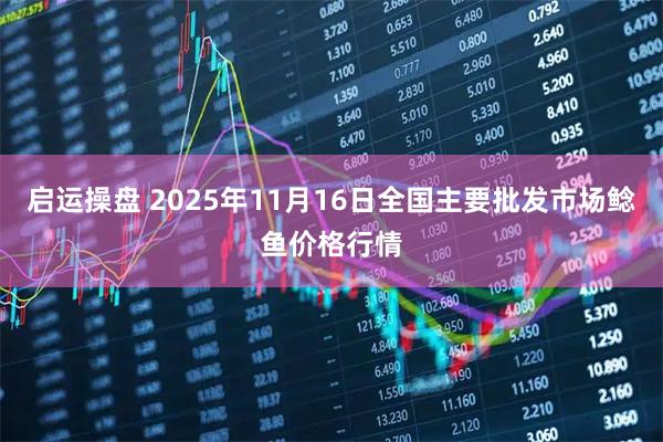 启运操盘 2025年11月16日全国主要批发市场鲶鱼价格行情