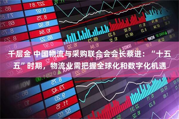千层金 中国物流与采购联合会会长蔡进：“十五五”时期，物流业需把握全球化和数字化机遇