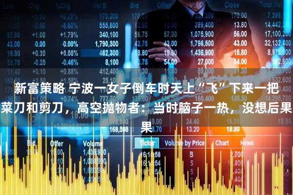 新富策略 宁波一女子倒车时天上“飞”下来一把菜刀和剪刀，高空抛物者：当时脑子一热，没想后果