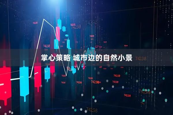 掌心策略 城市边的自然小景